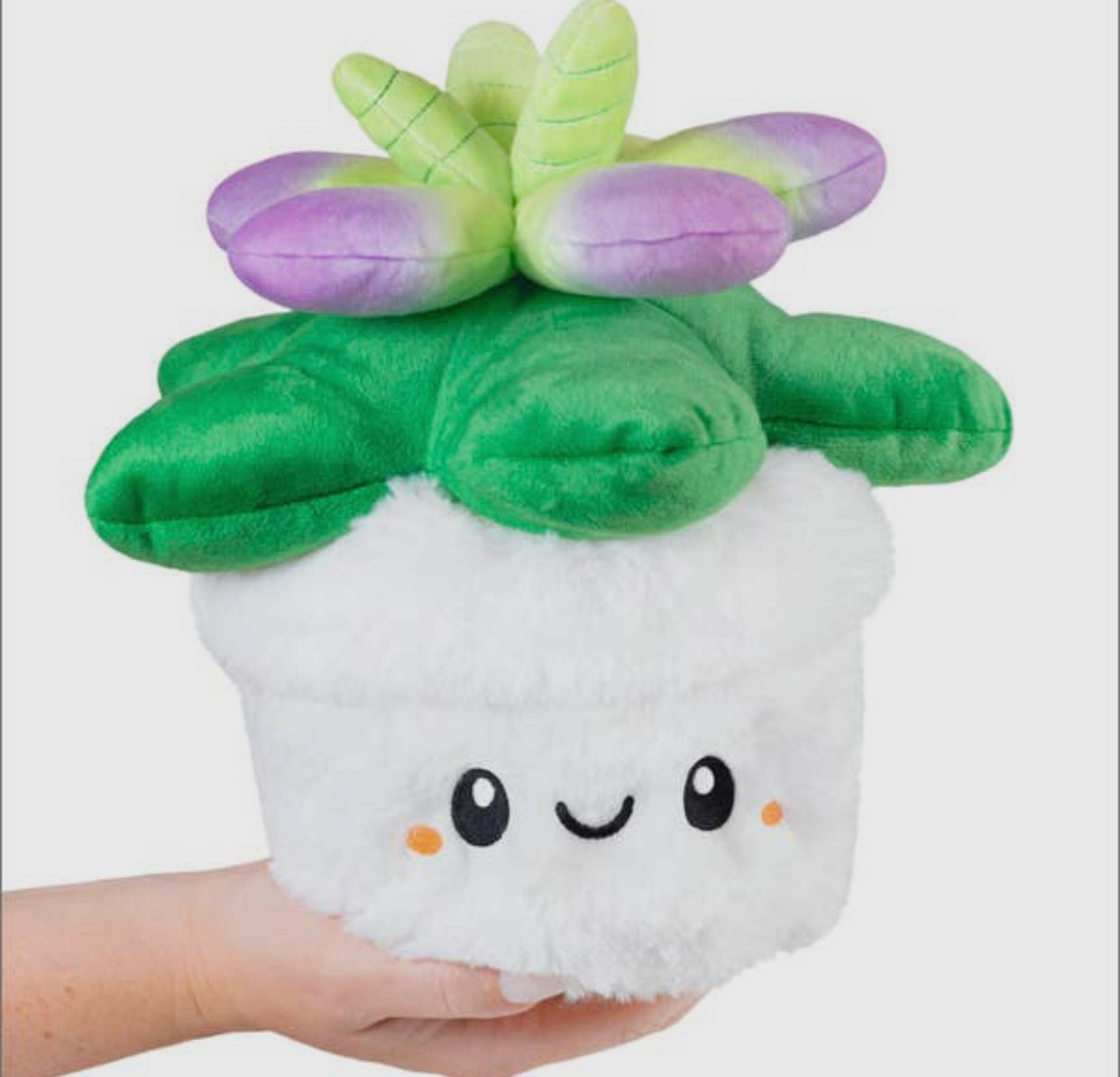 Cutie Succulent Plushie